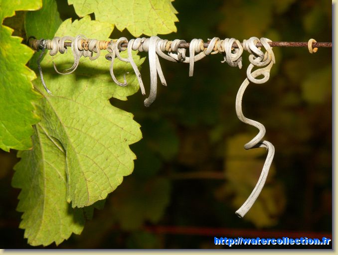 Diapositive suivante